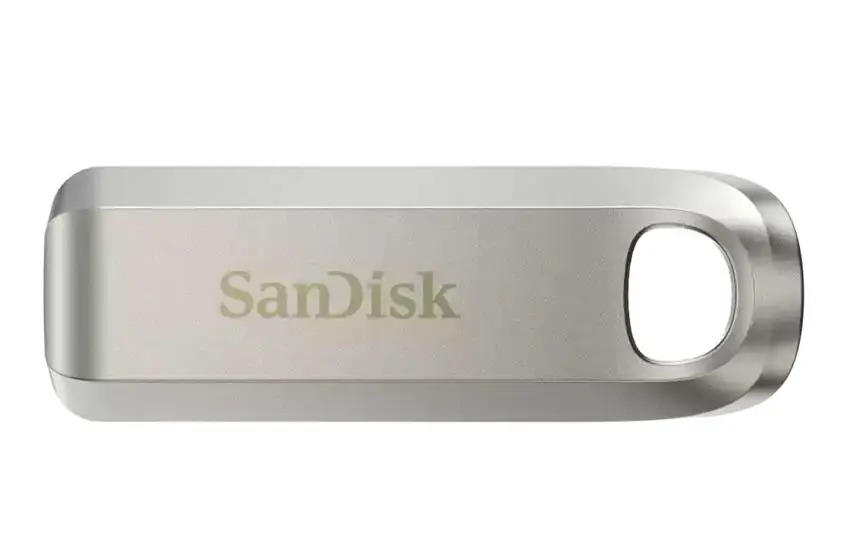 MEMORY DRIVE FLASH USB-C 256GB/SDCZ75-256G-G46 SANDISK